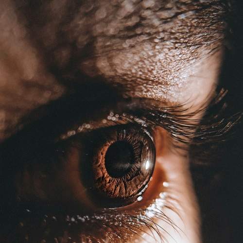 Photo #7674591