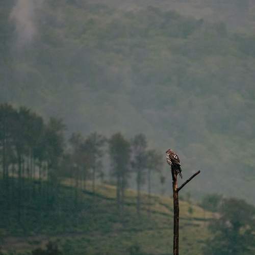 Photo #7674629