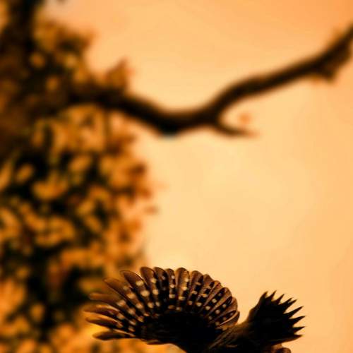 Photo #7674633