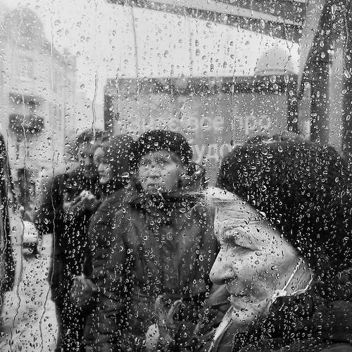 Photo #7674791