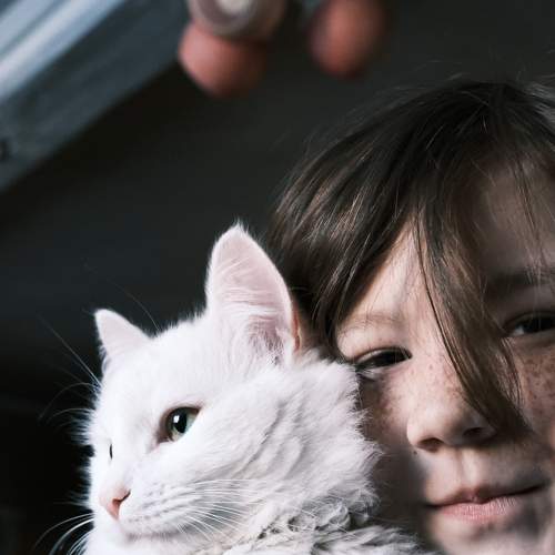 Photo #7675093
