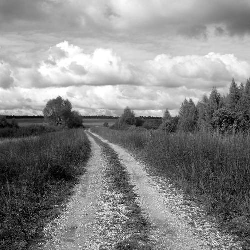 Photo #7675441