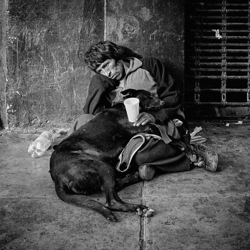 Photo #7675581