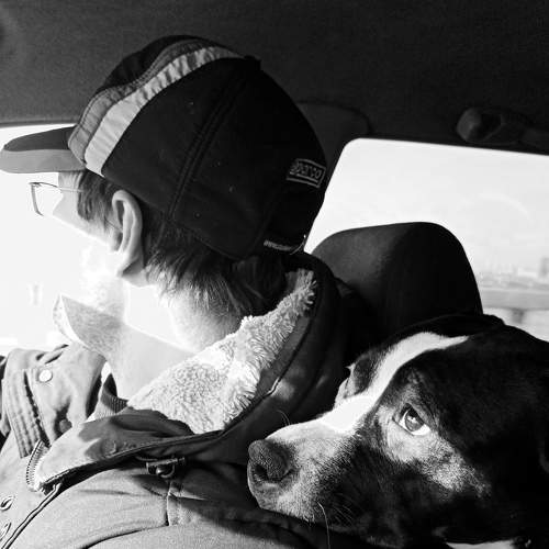 Photo #7675709