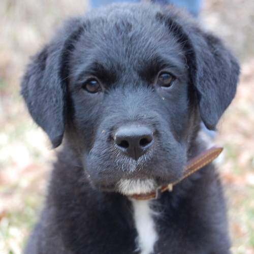 Photo #7675734