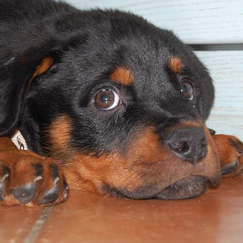 Photo #7675745