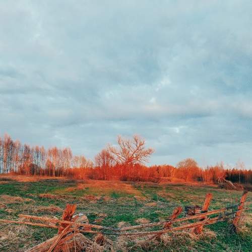 Photo #7675865