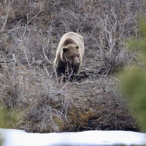 Photo #7676388