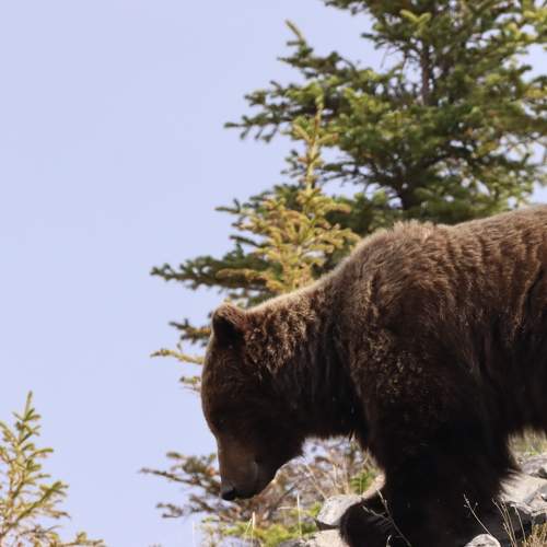 Photo #7676390