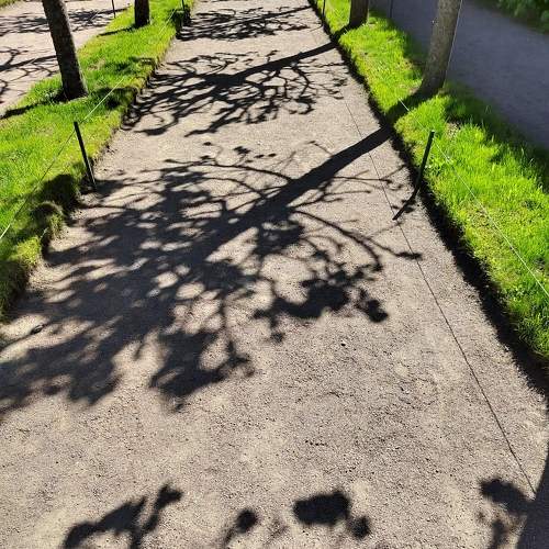 Photo #7676612