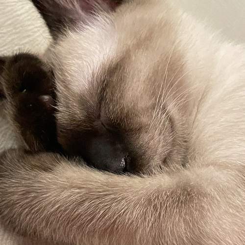 Photo #7676700