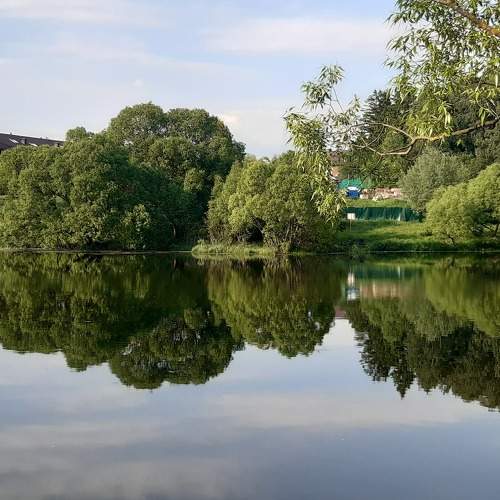 Photo #7676709