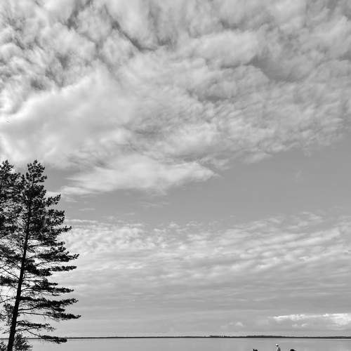 Photo #7676831