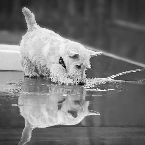 Photo #7676910