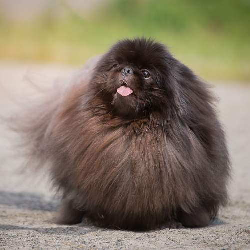 Photo #7676947