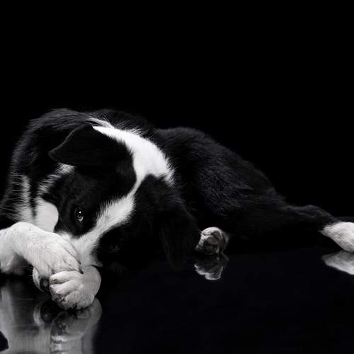Photo #7676952