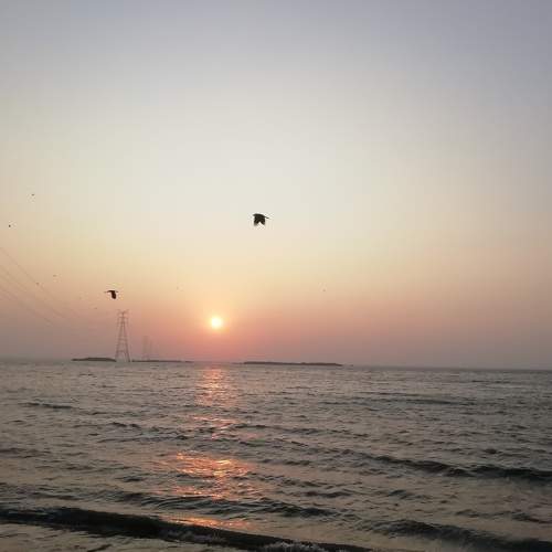 Photo #7677371