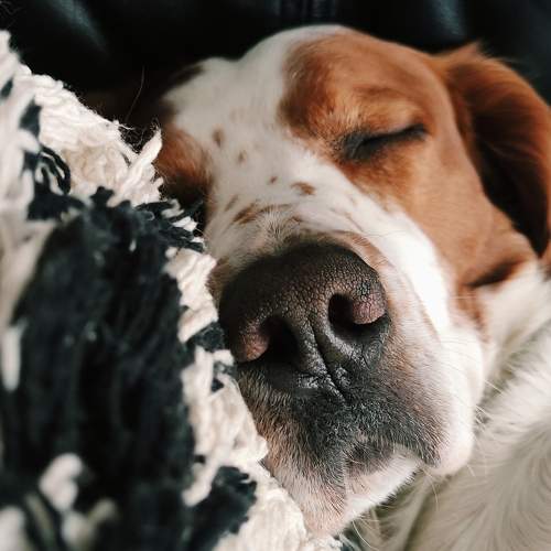 Photo #7677732