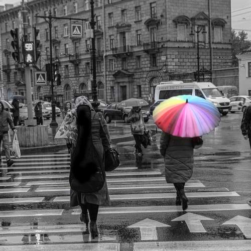 Photo #7677748