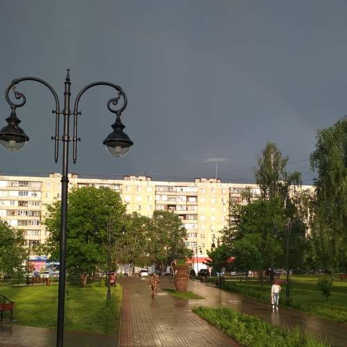 Photo #7677750