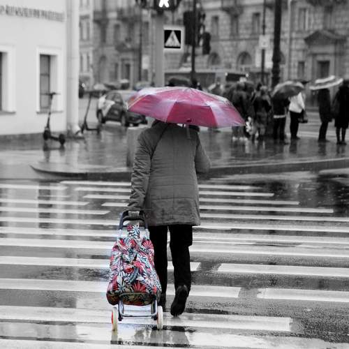 Photo #7677764