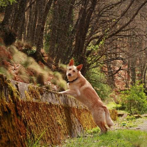 Photo #7677767