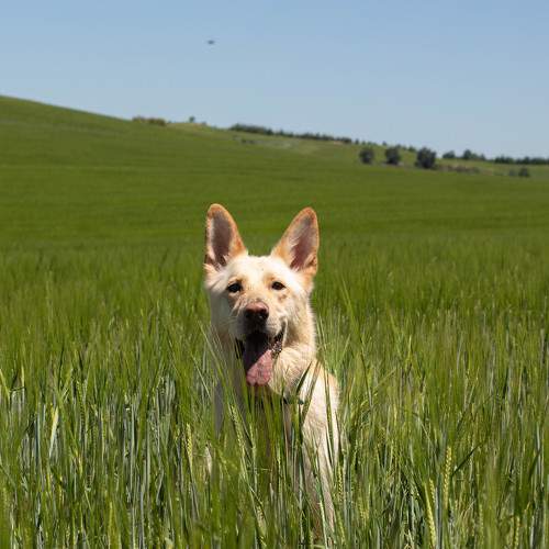 Photo #7677885