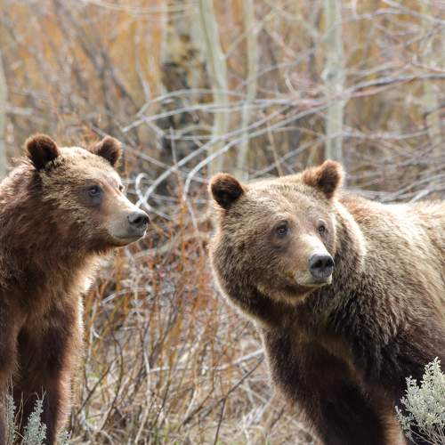 Photo #7678144
