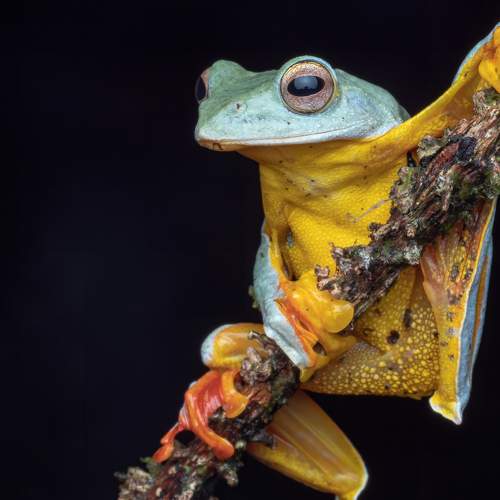 Photo #7678458