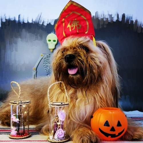Photo #7678695