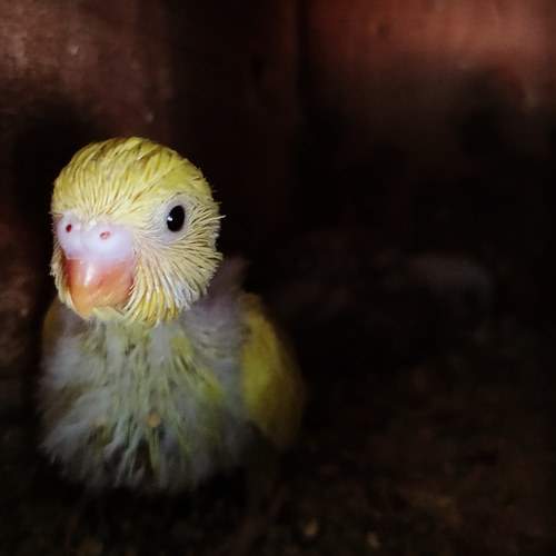 Photo #7678699