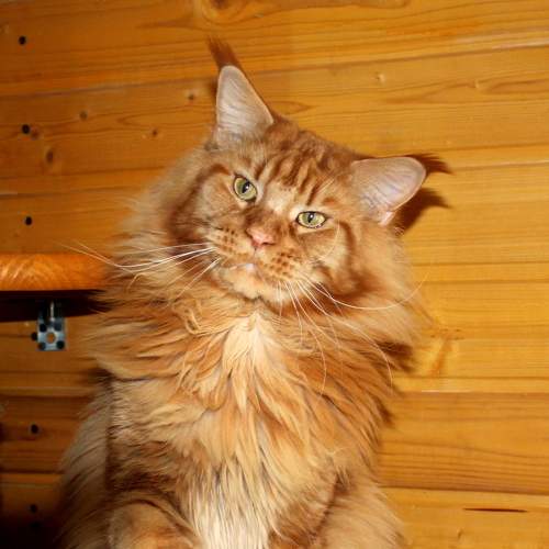Photo #7678813