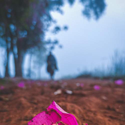 The Lone Walker