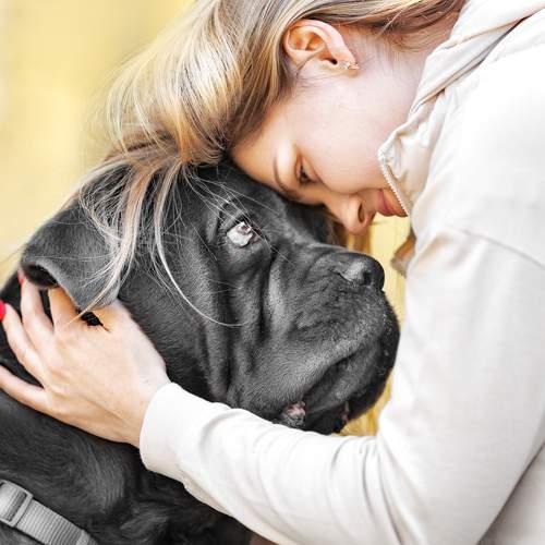 Фотография #7678943