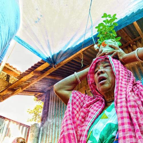 Tulsi Parikrama