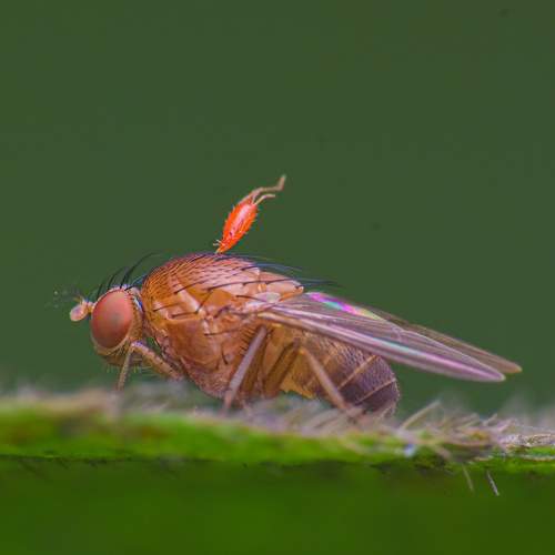 Photo #7679039