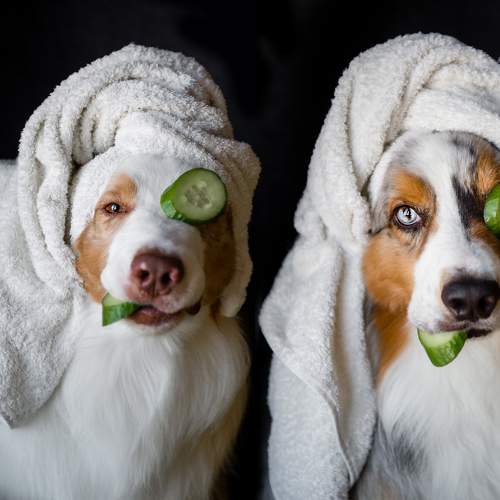 Photo #7679059