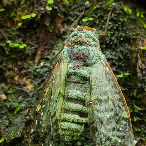 Photo #7679071