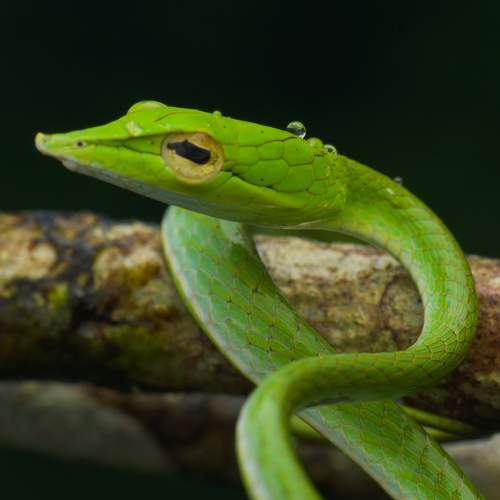 Photo #7679120