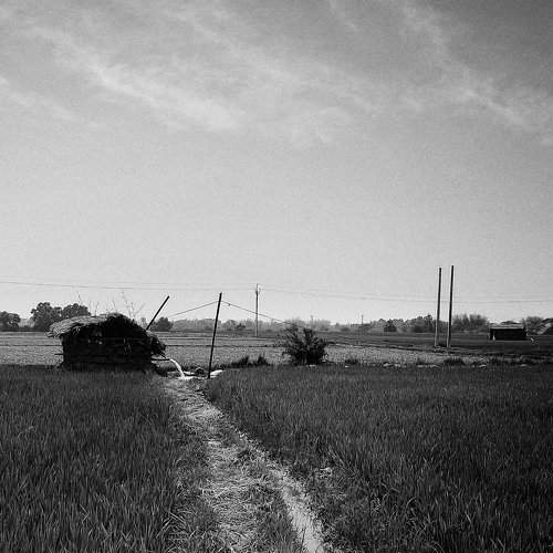 Photo #7679280