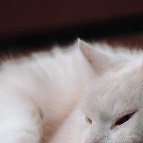 Photo #7679288