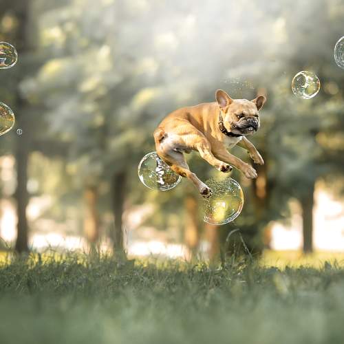 Фотография #7679648