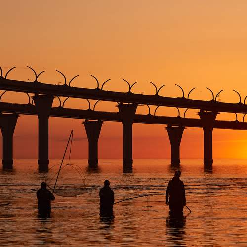 Фотография #7679668