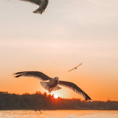 Photo #7679782