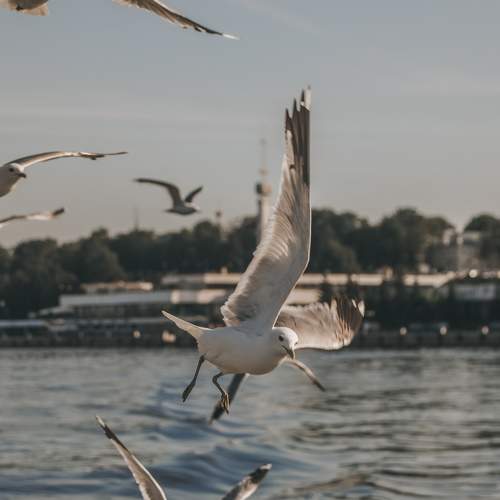 Photo #7679783