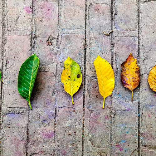 Conceptual photo