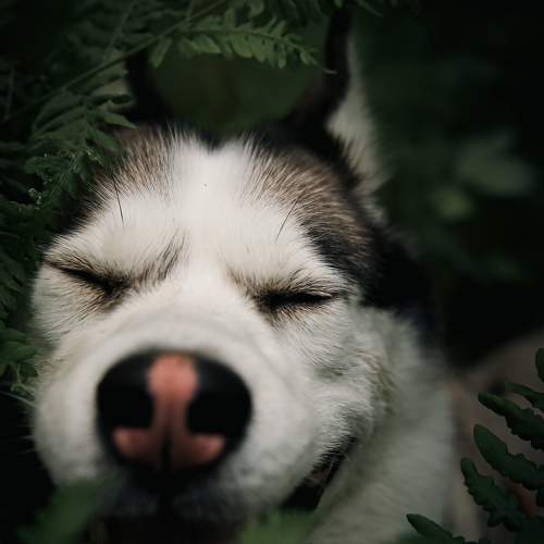 Photo #7679935