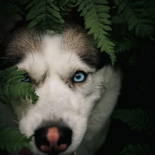 Photo #7679937