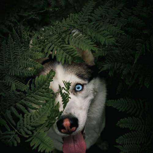 Photo #7679950