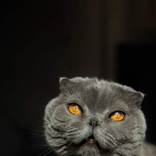 Photo #7680096